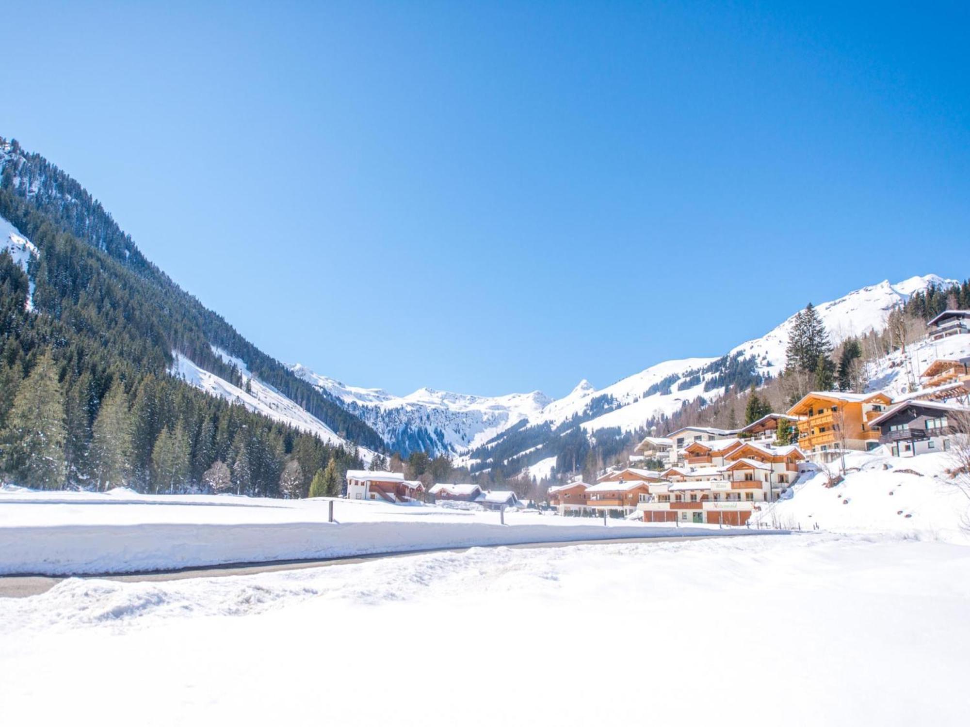 Chalet Sanna Hinterlengau Зальбах-Хинтерглемм Экстерьер фото